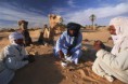 /album/galeria-de-fotos-o-mundo-arabe/sinai-bedouin-tea-670955n-jpg/